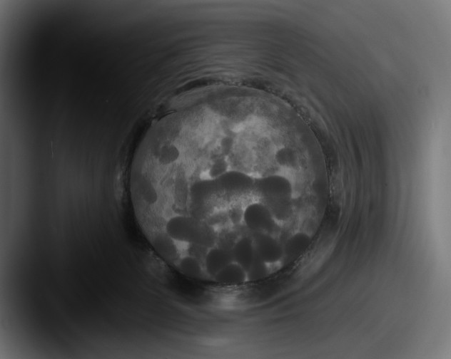 X0000087510131200705181001