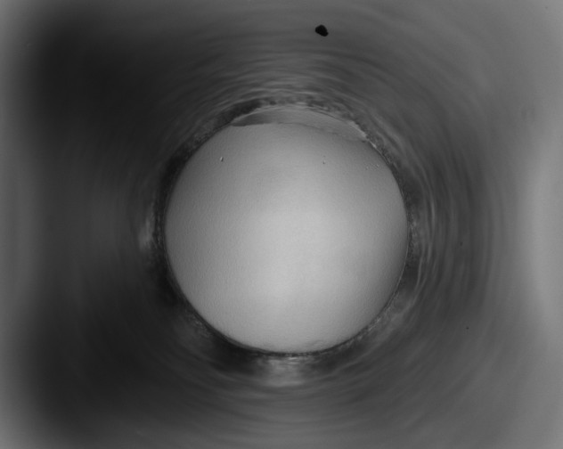 X0000087510134200705181001