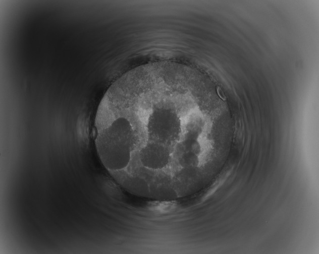 X0000087510135200705181001