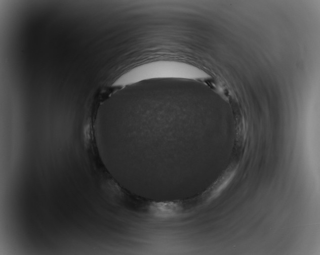 X0000087510137200705181001