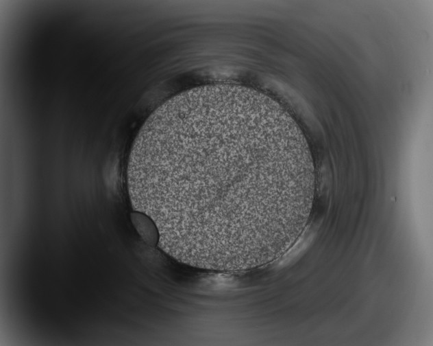 X0000087510140200705181001