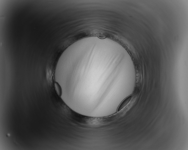 X0000087510142200705181001