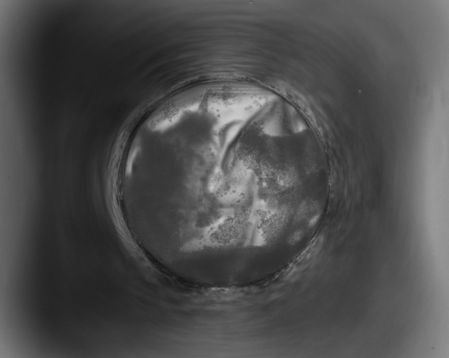 X0000087510145200705181000