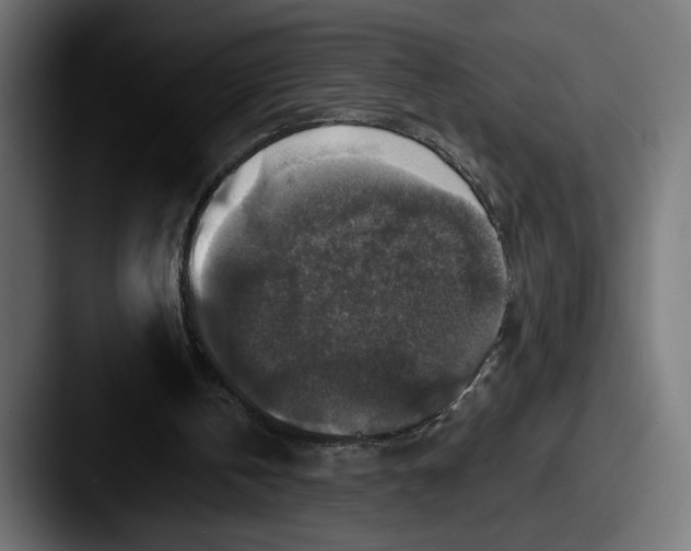 X0000087510146200705181000