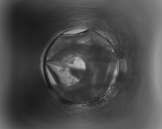 X0000087510147200705181000