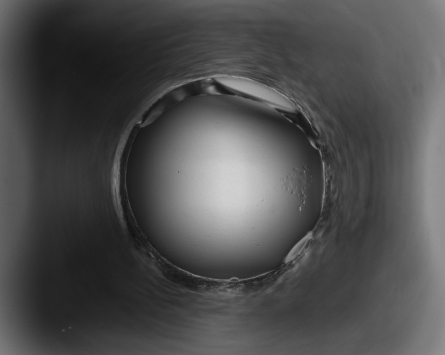 X0000087510148200705181000