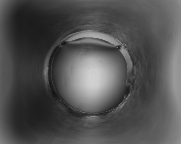 X0000087510150200705181000