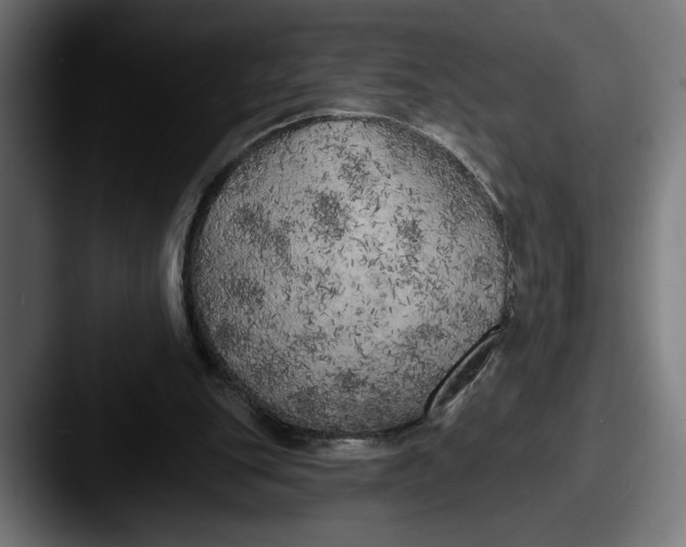 X0000087510151200705181000