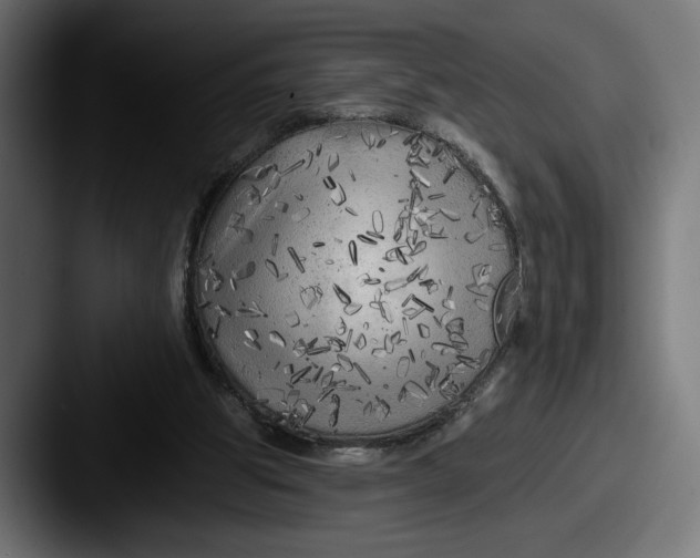 X0000087510153200705181000