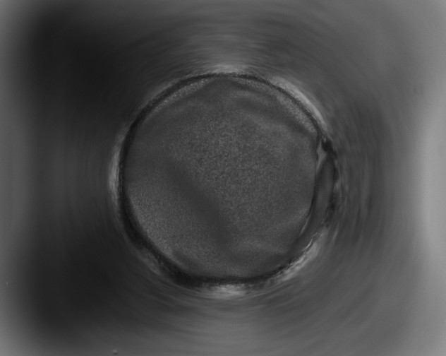 X0000087510156200705181000