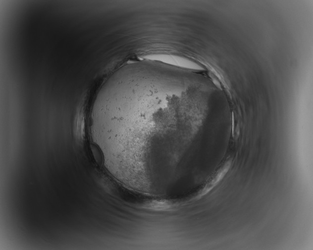 X0000087510157200705181000