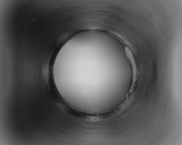 X0000087510160200705181000