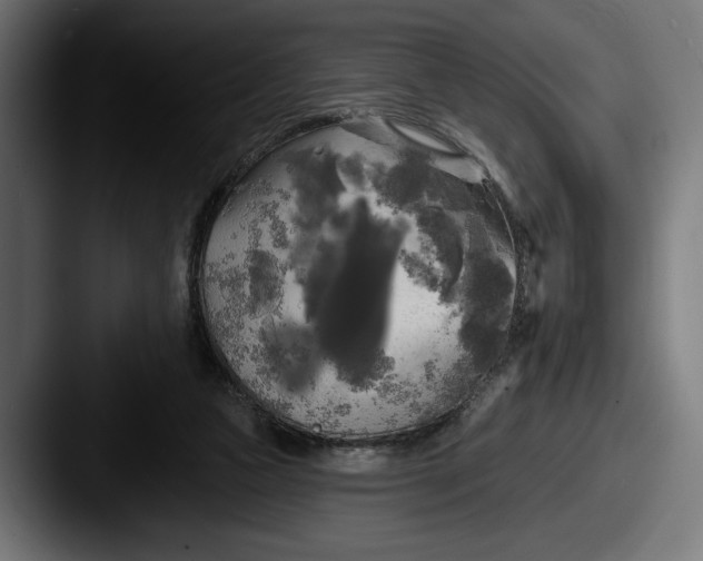 X0000087510161200705181000