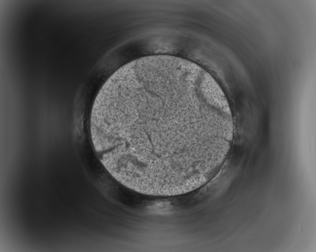 X0000087510162200705181000