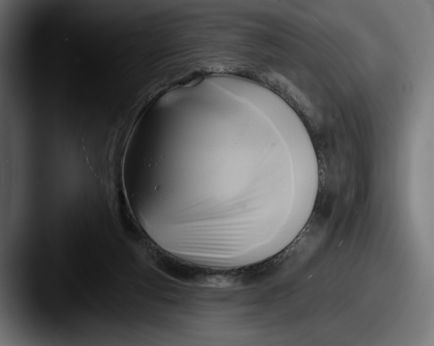 X0000087510163200705181000