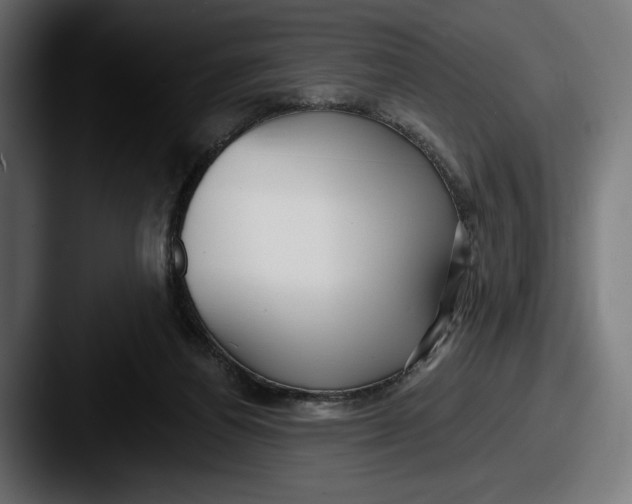 X0000087510164200705181001