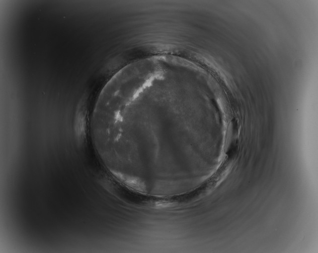 X0000087510165200705181001