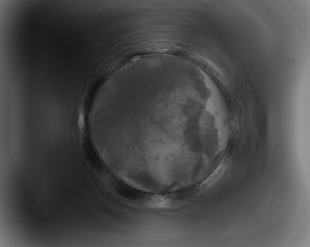 X0000087510166200705181001