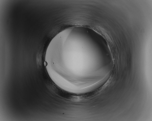 X0000087510167200705181001