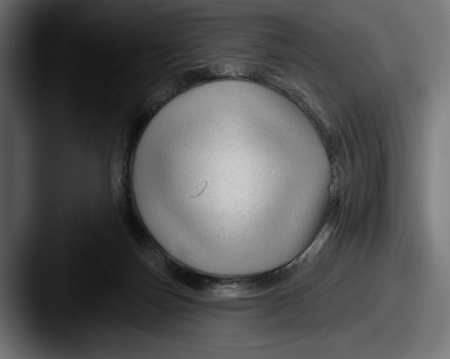 X0000087510171200705181001