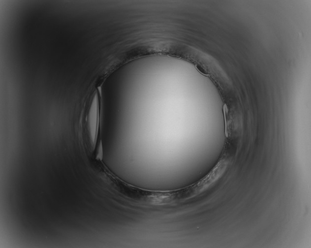 X0000087510172200705181001