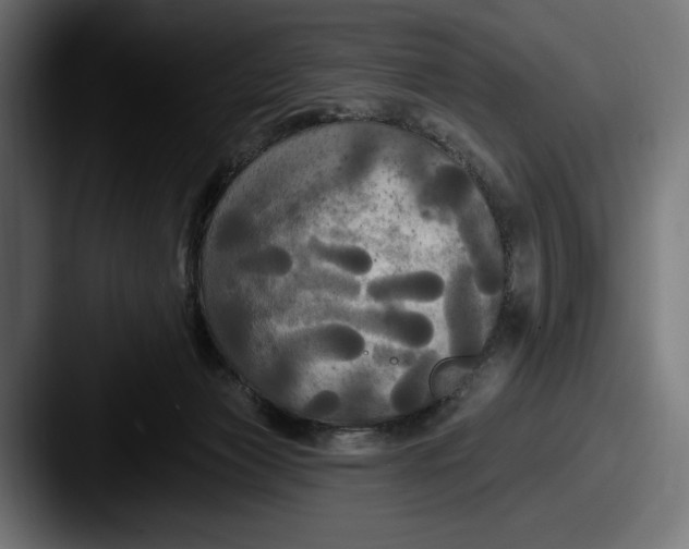 X0000087510173200705181001