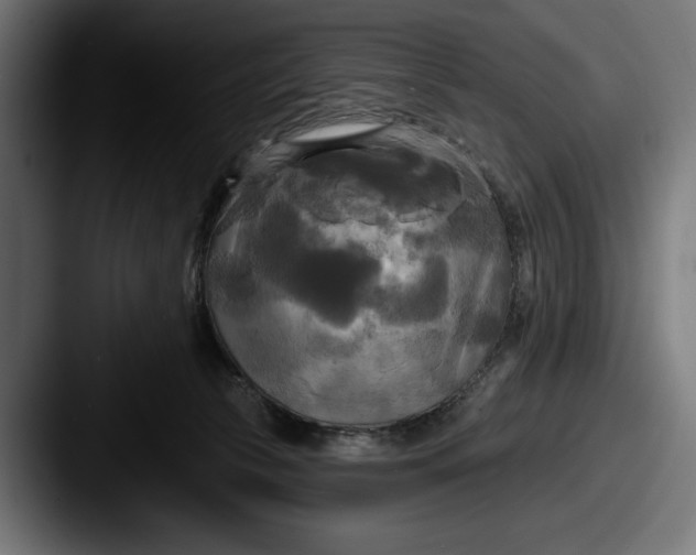 X0000087510177200705181001