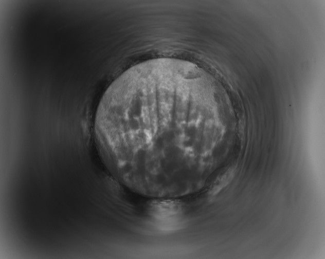 X0000087510181200705181001