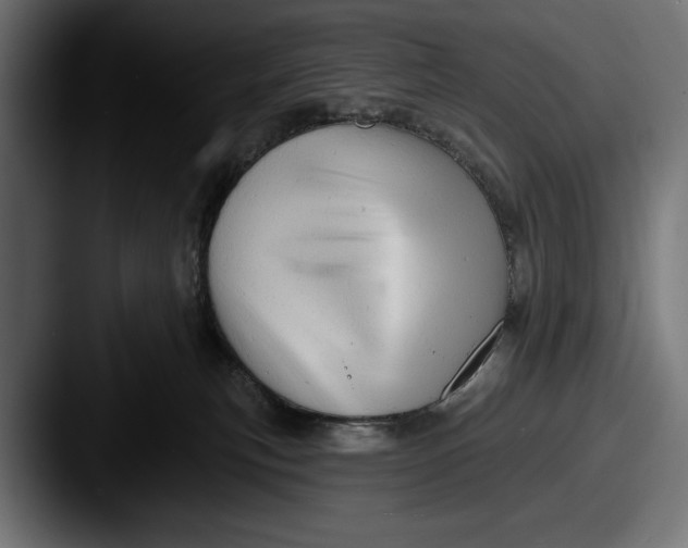 X0000087510183200705181001