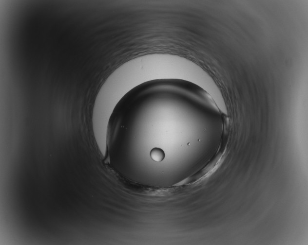 X0000087510186200705181001