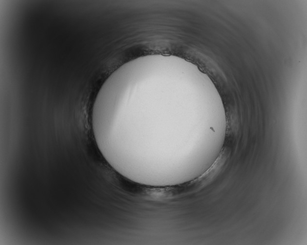 X0000087510187200705181001