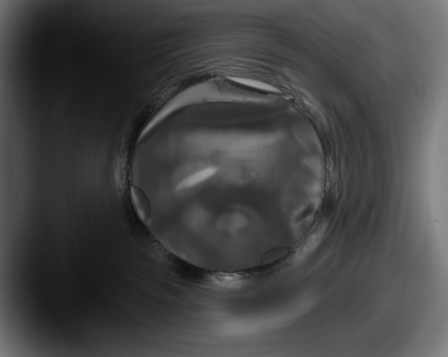 X0000087510189200705181001