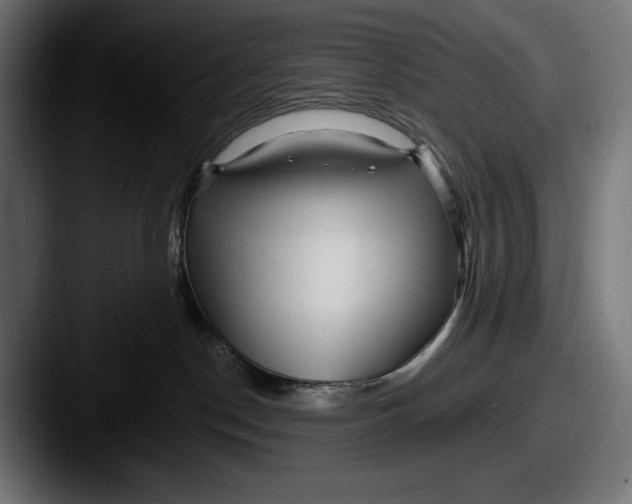 X0000087510190200705181001