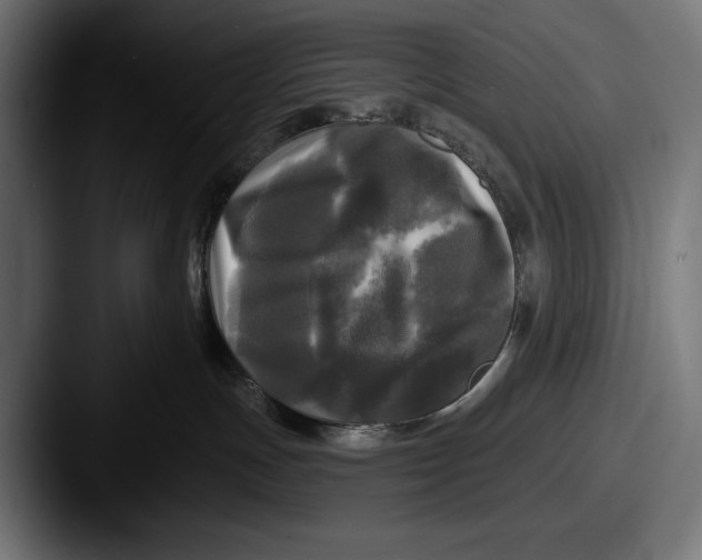 X0000087510191200705181001