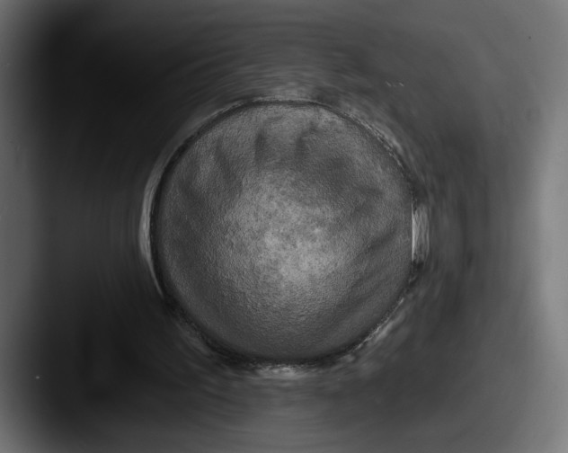 X0000087510195200705181000