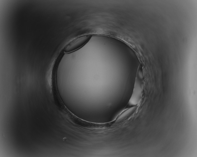 X0000087510200200705181000