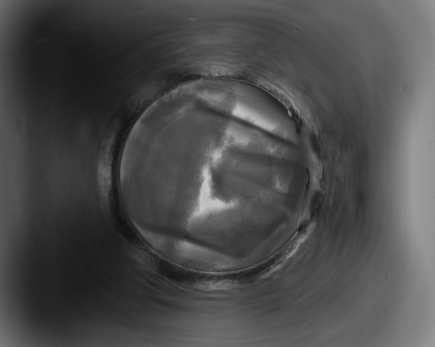 X0000087510202200705181000