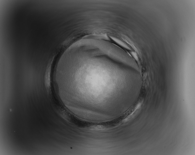 X0000087510203200705181000