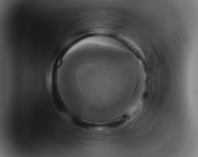 X0000087510204200705181000