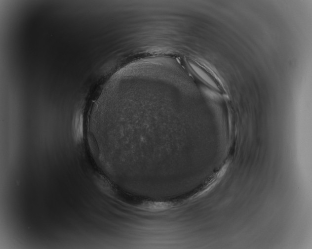 X0000087510205200705181000