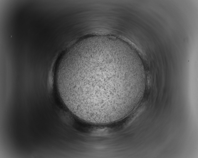 X0000087510206200705181000