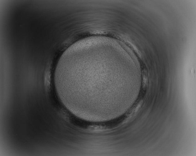 X0000087510211200705181000