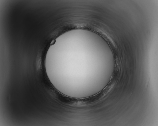 X0000087510212200705181000