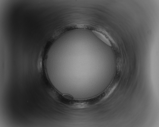 X0000087510213200705181000