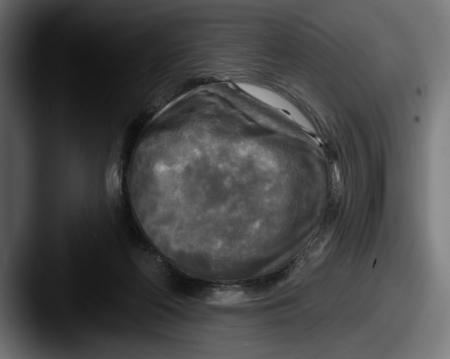 X0000087510214200705181000