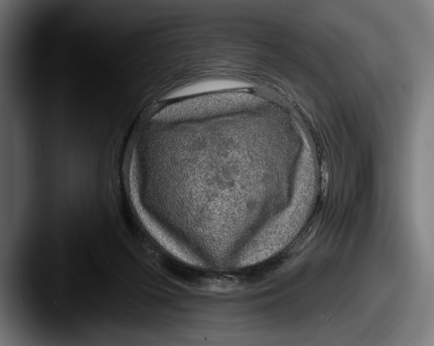 X0000087510215200705181000