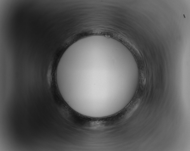 X0000087510216200705181000