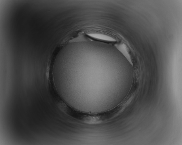 X0000087510217200705181000