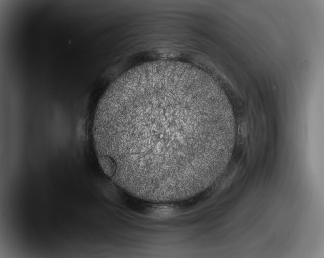 X0000087510218200705181000