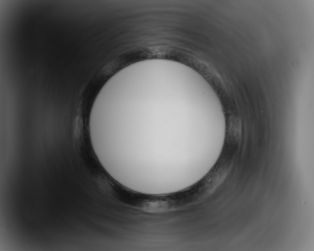 X0000087510220200705181000